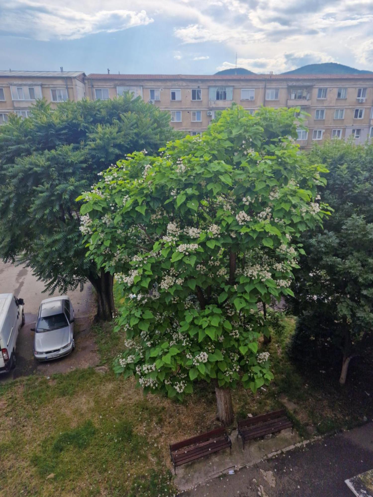 Apartament Central Deva Lejlighed Eksteriør billede